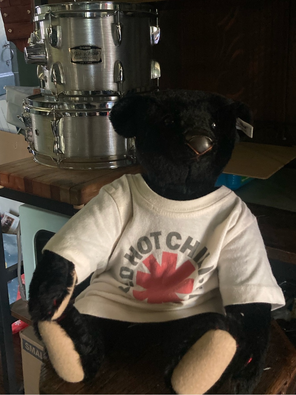 Steiff 1907 Black Mohair Bear 15.75" Limited Addition RHCP Cute Collector’s toy